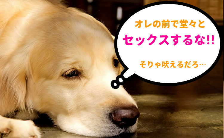 人妻とセックス