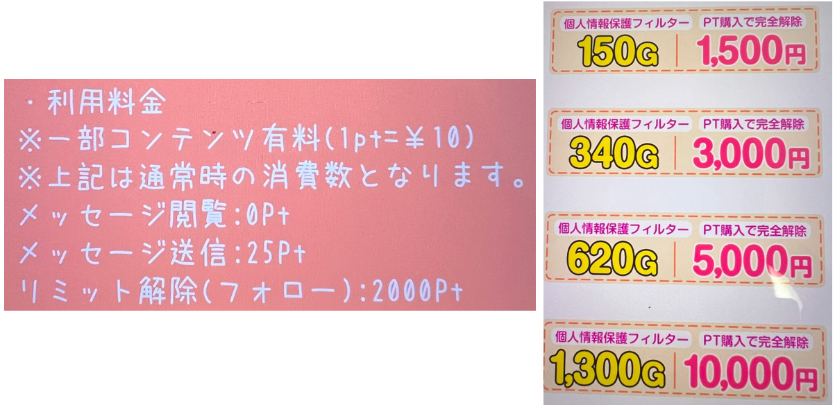 お願い先生の料金