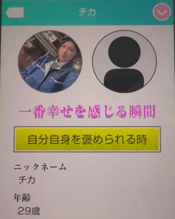 クローバーのサクラ