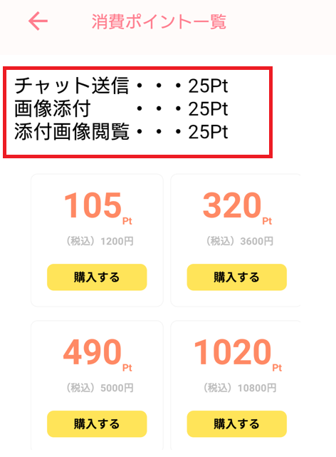 昭和パラダイスの料金体系