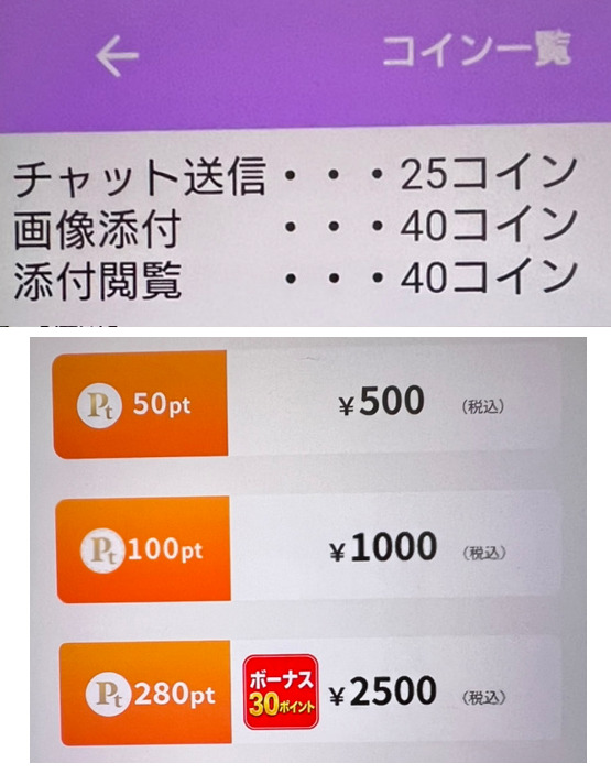 リッチLOVEの料金