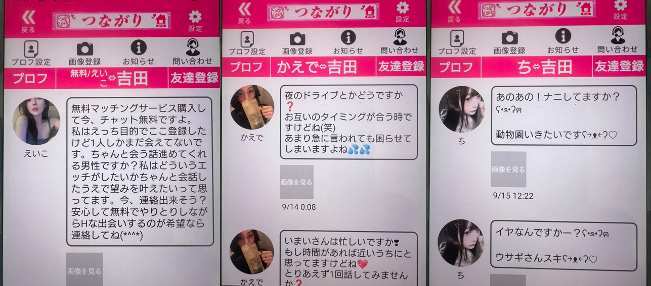 つながりのサクラ